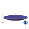  Bộ 2 dĩa D3006F Duralex - Lys Xanh Saphir 23,5cm Thủy tinh cường lực cao cấp Pháp [Chính Hãng] 