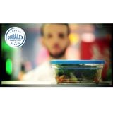  Hộp thực phẩm D9022A Duralex - Freshbox nắp xanh Blue 1150ml Thủy tinh cường lực Pháp 