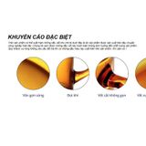  Bộ 6 ly D1789M Duralex - Picardie 3 size 250ml - 310ml - 360ml Thủy tinh cường lực cao cấp Pháp [Chính Hãng] 