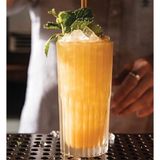  Bộ 6 ly cao D1058A Duralex - Manhattan Trong Clear 305ml Thủy tinh cường lực cao cấp Pháp [Chính Hãng] 