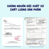  Bộ 2 ly có quai D4018B Duralex - Lys Xanh Marine 310ml Thủy tinh cường lực cao cấp Pháp [Chính Hãng] 