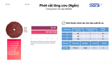  Phớt Lông Cừu Ngắn 3 Inch Đánh Bóng Xe SGCB SGGA206 