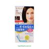 SALON DE PRO_Kem Nhuộm Tóc Phủ Bạc Không Mùi, Dạng Bọt