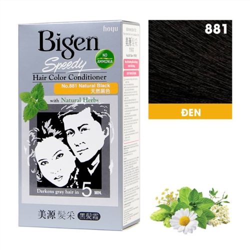 BIGEN_Nhuộm Phủ Bạc #881 Đen 40g