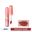 COLORKEY_Son Kem Bùn Lip Mud Matte R107 Twilight Rose 2g