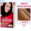 BIGEN_Nhuộm Phủ Bạc #4 Nâu Hạt Dẻ 40g
