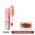 COLORKEY_Son Kem Bùn Lip Mud Matte R608 Reddish Brown 2g