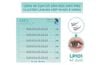 JARY_Lông Mi Cụm Có Sẵn Keo Pro Cluster Lashes Hộp Nhựa 6 Hàng LP101 Mi Dưới