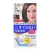 SALON DE PRO_Kem Nhuộm Tóc Phủ Bạc Không Mùi, Dạng Bọt