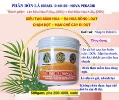 (500gam) Phân 0-60-20, Nova pekacid - Siêu tạo mầm hoa, kích ra hoa đồng loạt, chặn đọt, không gây cháy lá