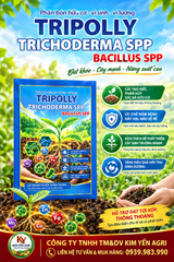 (Gói 1 Kg) Phân bón hữu cơ - Vi sinh - Vi lượng TRIPOLLY - Hiệu Trichoderma spp. Bacillus spp.: cung cấp dinh hữu cơ - vi sinh - vi lượng giúp đất tơi xốp, đề kháng nấm bệnh hại rễ cây trồng, tăng hấp thu dinh dưỡng. Phân hủy chất hữu cơ, xác bã thực vật