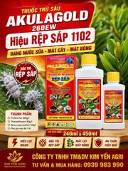 (Rệp sáp cây đào) Phòng trừ rệp sáp gây hại cây đào, không nóng, mát cây, mát bông