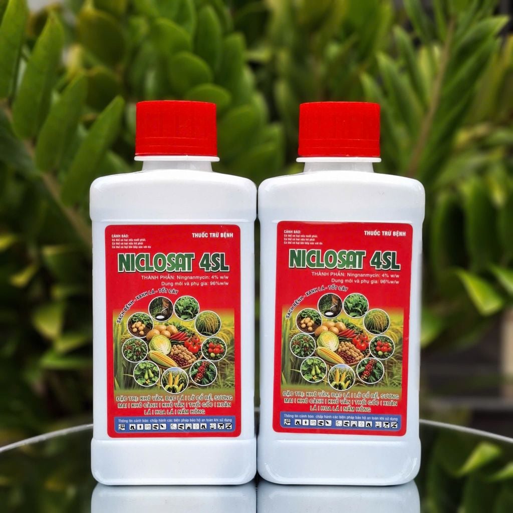 Thuốc trừ bệnh NICLOSAT 4SL: phòng trừ lở cổ rễ, sương mai, khô cành, nấm hồng, thối gốc, khô vằn, bạc lá, xoăn lá, bệnh hoa lá