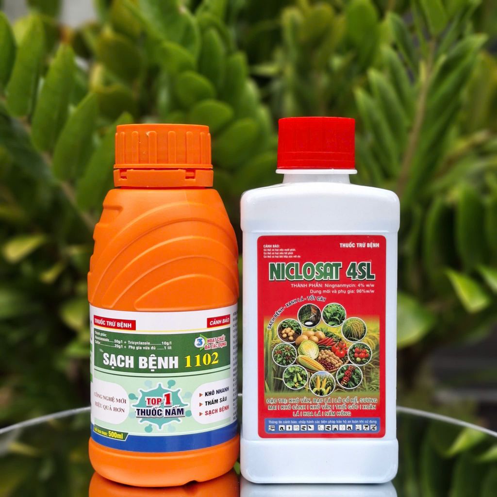 Thuốc trừ bệnh NICLOSAT 4SL: phòng trừ lở cổ rễ, sương mai, khô cành, nấm hồng, thối gốc, khô vằn, bạc lá, xoăn lá, bệnh hoa lá