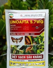 (Gói 100g) Thuốc trừ sâu LINOAFTA 5.7WG: diệt trừ sâu đục thân bắp (ngô), dạng cốm - không nóng, tan nhanh, diệt sạch sâu kháng,