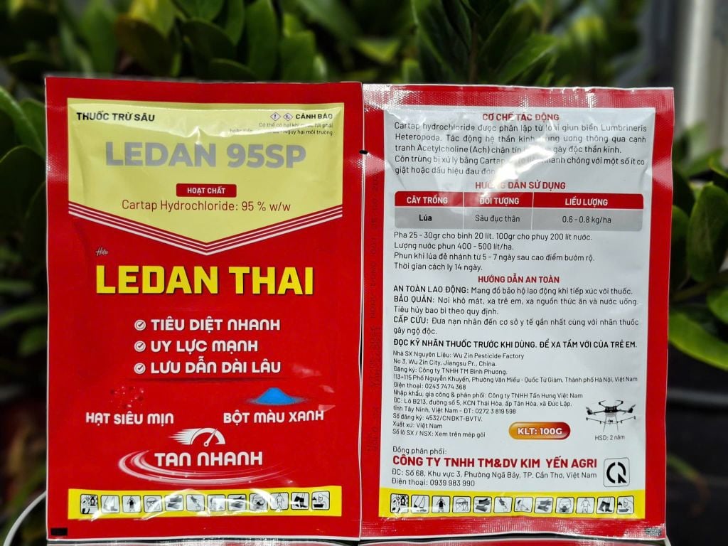 (Gói 100g) Thuốc trừ sâu LEDAN 95SP, Cartap Hydrochloride 95% - Hiệu LEDAN THÁI (bột màu xanh, siêu mịn): đặc trị sâu đục thân, rầy xanh sầu riêng, sâu đục thân, ruồi, bọ trĩ, bọ cánh cứng