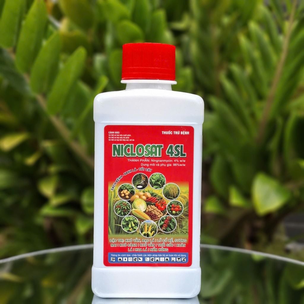 Thuốc trừ bệnh NICLOSAT 4SL: phòng trừ lở cổ rễ, sương mai, khô cành, nấm hồng, thối gốc, khô vằn, bạc lá, xoăn lá, bệnh hoa lá