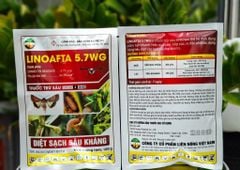 (Gói 100g) Thuốc trừ sâu LINOAFTA 5.7WG: diệt trừ sâu đục thân bắp (ngô), dạng cốm - không nóng, tan nhanh, diệt sạch sâu kháng,