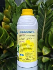 (Chai 1 Lít) Phân bón lá NPK - Trung - Vi lượng MX6 (ra hoa C.A.T)- Thúc ra Hoa Đồng Loạt- Hoa Bung Mạnh- Dễ Đậu Trái