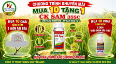 (Chai 100ml) Thuốc Trừ Sâu CK SAM 35SC [Chuyên Lúa] đặc trị Sâu đục thân, Sâu cuốn lá: Sự kết hợp độc đáo của 2 hoạt chất Chlorfenapyr & Ivermectin: lưu dẫn, thấm sâu, sâu ngừng ăn ngay sau phun.