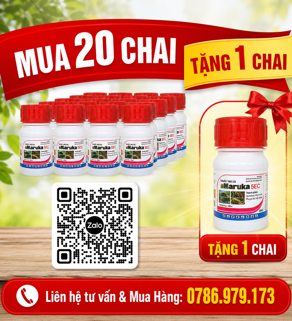 Thuốc trừ cỏ Maruka 5EC trừ cỏ lồng vực, cỏ túc, mầm trầu, đuôi phụng, cỏ ống, cỏ chân gà, cỏ chỉ, cỏ lúa trên cây đậu nành, đậu phộng, sắn, vừng
