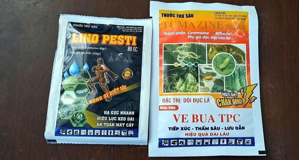 Combo diệt bọ nhảy trên rau cải: LINO PESTI 25ML VÀ SÂU VẼ BÙA TPC 20G: hạ gục nhanh, hiệu lực kéo dài, an toàn mát cây
