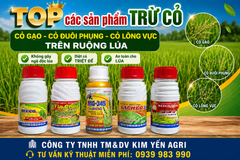 Thuốc trừ cỏ sót như trừ cỏ gạo, cỏ đuôi phụng, cỏ lồng vực và cỏ chác lác trên ruộng lúa