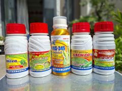 Thuốc trừ cỏ sót như trừ cỏ gạo, cỏ đuôi phụng, cỏ lồng vực và cỏ chác lác trên ruộng lúa