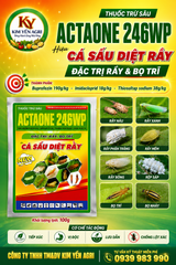 Cá sấu diệt rầy 100g (Actaone 246WP) - trừ rầy nâu, rầy xanh, rầy phấn trắng, rầy mềm, rầy bông, rệp sáp, bọ trĩ, bọ nhảy, bọ rùa.