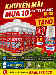 TVG 20 565EC, TP SAP: Đặc trị sâu đục thân lúa, bọ trĩ, Bọ xít hôi, rầy phấn trắng, bù hút chích hút bông lúa - KHÔNG NÓNG