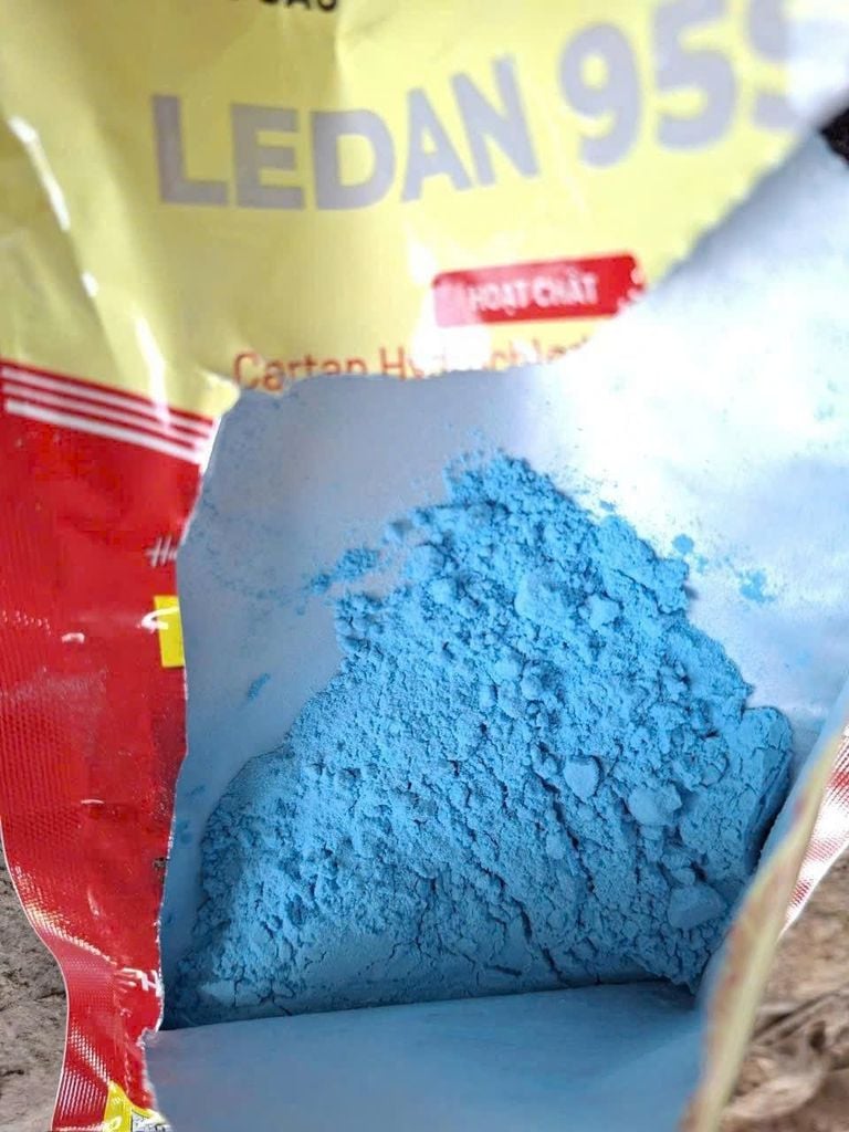 (Gói 100g) Thuốc trừ sâu LEDAN 95SP, Cartap Hydrochloride 95% - Hiệu LEDAN THÁI (bột màu xanh, siêu mịn): đặc trị sâu đục thân, rầy xanh sầu riêng, sâu đục thân, ruồi, bọ trĩ, bọ cánh cứng