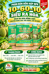 (Hộp 1Kg) Phân bón hỗn hợp NPK 10-60-10 SIÊU RA HOA. Kích hoa đồng loạt chuyên dùng cho: sầu riêng và cây ăn quả