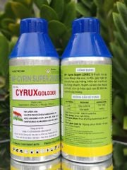(500ml & 1L) Cyrux Gold 300Ec 1 lít, Np-Cyrin Super 250Ec 1L: trừ Sâu đầu đen hại dừa, sâu cuốn lá lúa, sâu xanh hại đậu tương, rệp sáp cà phê
