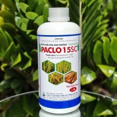 (Chai 1L) Thuốc điều hòa sinh trưởng PACLO 15SC [Paclo Đồng Tháp]: thúc đẩy quá trình phân hóa mầm hoa, kích thích cây ra hoa sớm đồng loạt theo ý muốn