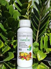 (Chai 500ml) Phân bón lá trung vi lượng CANXI BO: ngăn rụng bông, ngăn rụng trái non, nâng cao tỉ lệ thụ phấn, tăng lượng đường và vitamin thiết yếu