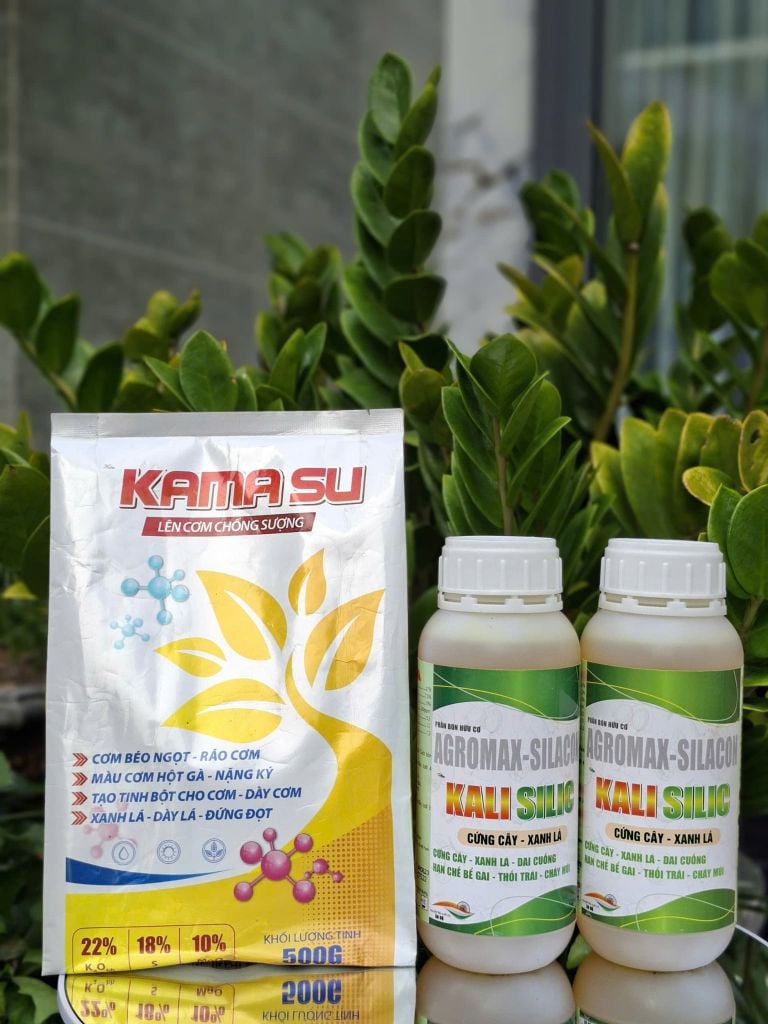 Bộ đôi KAMASU + KALI SILIC giúp sầu riêng lên cơm, vàng đều, không bị bộp, com béo ngọt, chống sượng nước và nhão cơm