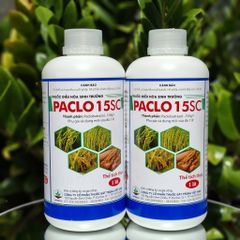 (Chai 1L) Thuốc điều hòa sinh trưởng PACLO 15SC [Paclo Đồng Tháp]: thúc đẩy quá trình phân hóa mầm hoa, kích thích cây ra hoa sớm đồng loạt theo ý muốn