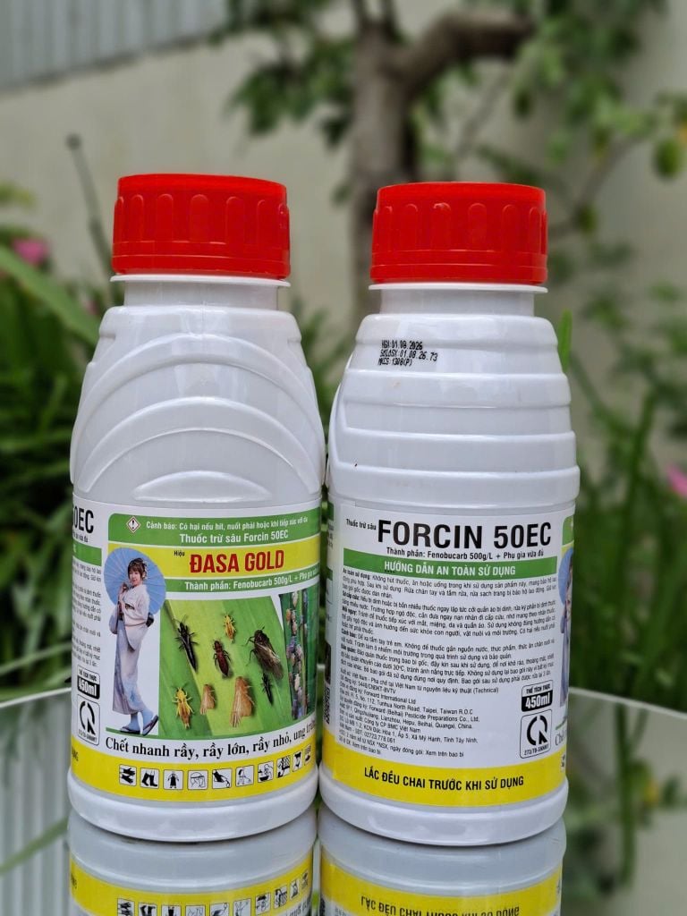 (Chai 450ml) Thuốc trừ sâu FORCIN 50EC Hiệu ĐASA GOLD: chết nhanh rầy, rầy lớn, rầy nhỏ, ung trứng. Chuyên dùng phòng trừ các loài chích hút, đặc biệt là rầy nâu, bọ trĩ