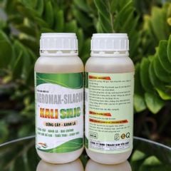 Bộ đôi KAMASU + KALI SILIC giúp sầu riêng lên cơm, vàng đều, không bị bộp, com béo ngọt, chống sượng nước và nhão cơm