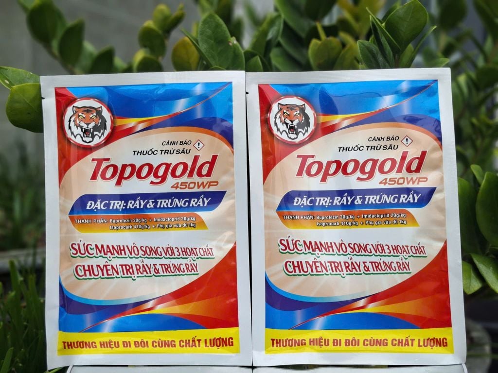 (100gam) TOPOGOLD 450WP: trừ rầy xanh, rầy phấn trắng rầy chổng cánh và bọ xít muỗi - diệt rầy và gây ung trứng