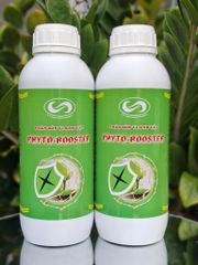 (Chai 1 Lít) Phân Bón Vi Sinh Vật PHYTO-BOOSTER: Kích thích tăng trưởng, rễ mạnh, cây lớn nhanh, tăng sức đề kháng cho cây, hạn chế sâu bệnh. Cải tạo đất, tăng độ phì nhiêu cho đất trồng
