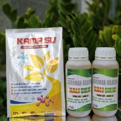 Bộ đôi KAMASU + KALI SILIC giúp sầu riêng lên cơm, vàng đều, không bị bộp, com béo ngọt, chống sượng nước và nhão cơm