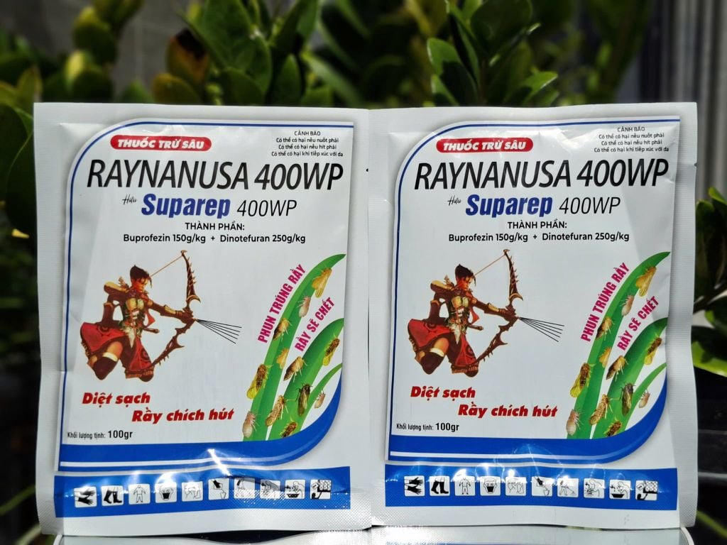 (Gói 100g) Thuốc trừ sâu RAYNANUSA 400WP hiệu Suparep 400WP [TRÙM RẦY]: diệt sạch rầy chích hút, phun trúng rầy sẽ chết