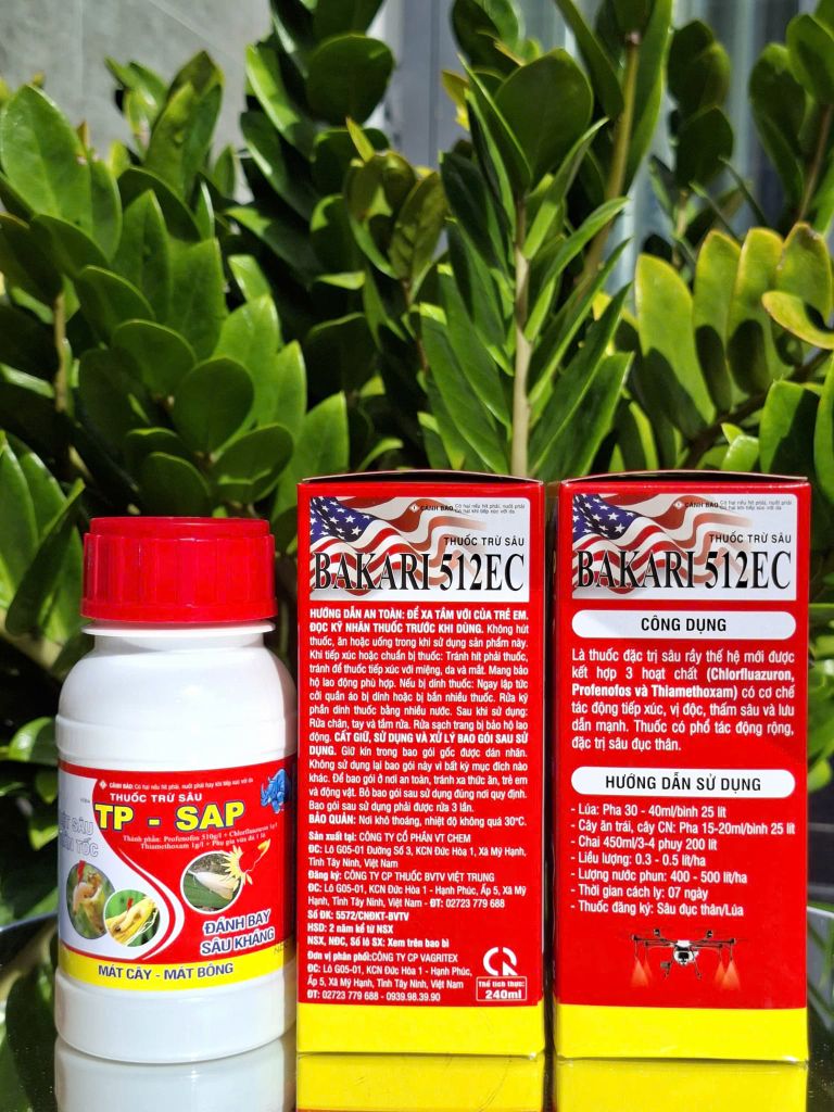 (Rệp sáp cây đào) Phòng trừ rệp sáp gây hại cây đào, không nóng, mát cây, mát bông