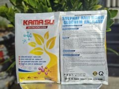 Bộ đôi KAMASU + KALI SILIC giúp sầu riêng lên cơm, vàng đều, không bị bộp, com béo ngọt, chống sượng nước và nhão cơm