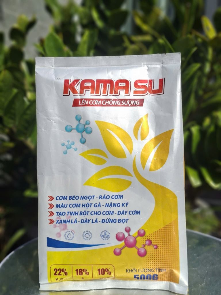 Bộ đôi KAMASU + KALI SILIC giúp sầu riêng lên cơm, vàng đều, không bị bộp, com béo ngọt, chống sượng nước và nhão cơm
