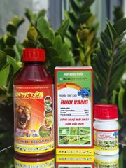 Thuốc trị ruồi vàng, ruồi đục quả, sâu đục trái cây vú sữa, ruồi vàng xoài, ruồi vàng mận, táo, ruồi vàng hại mướp, ớt, khổ qua, bầu bí, dưa leo