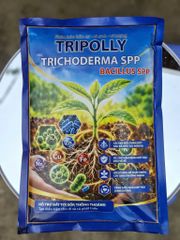 (Gói 1 Kg) Phân bón hữu cơ - Vi sinh - Vi lượng TRIPOLLY - Hiệu Trichoderma spp. Bacillus spp.: cung cấp dinh hữu cơ - vi sinh - vi lượng giúp đất tơi xốp, đề kháng nấm bệnh hại rễ cây trồng, tăng hấp thu dinh dưỡng. Phân hủy chất hữu cơ, xác bã thực vật