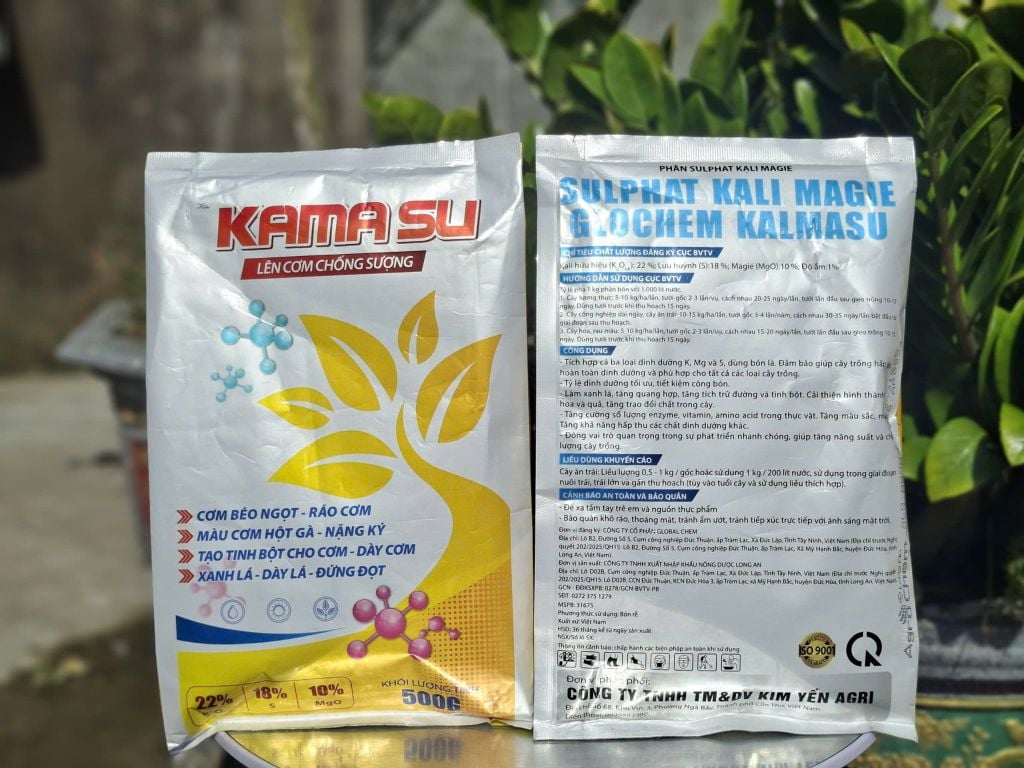 (Gói 500g) Phân bón Sulphat Kali Magie: KAMASU - Lên Cơm Chống Sượng: cơm béo ngọt, ráo cơm, màu cơm hột gà, nặng ký, tạo tinh bột cho cơm, dày cơm, xanh lá, dày lá đứng đọt