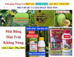 (Lớn trái mít, Sâu đục trái mít, Rệp sáp mít) Phân thúc lớn trái mít, nặng ký và phòng trị sâu đục trái mít, trừ rệp sáp mít không gây nóng trái